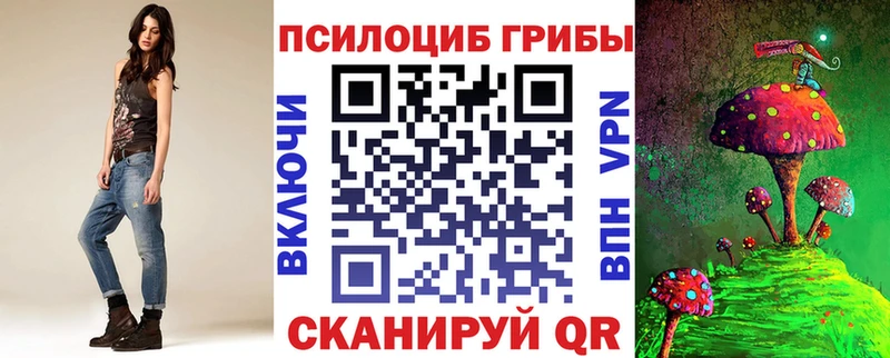 Галлюциногенные грибы Psilocybe Лысково
